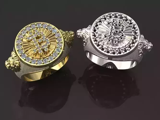 bitcoin rings 3D print model