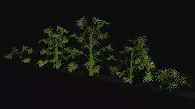 Tropical plants v1