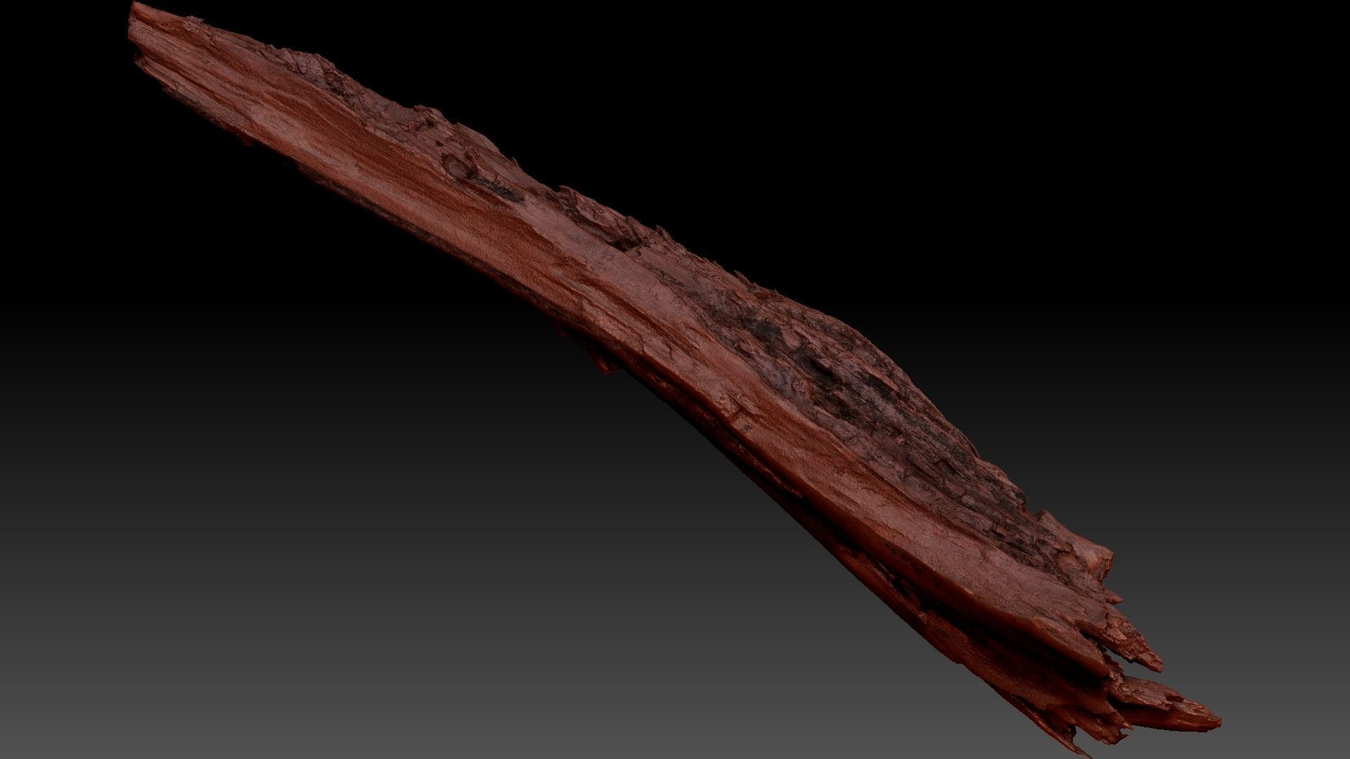 Peeling tree trunk wood in the real world 3d scan 3D model_27