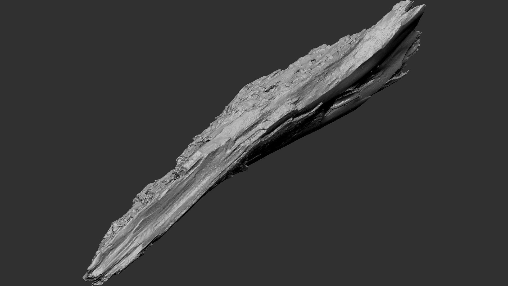 Peeling tree trunk wood in the real world 3d scan 3D model_29