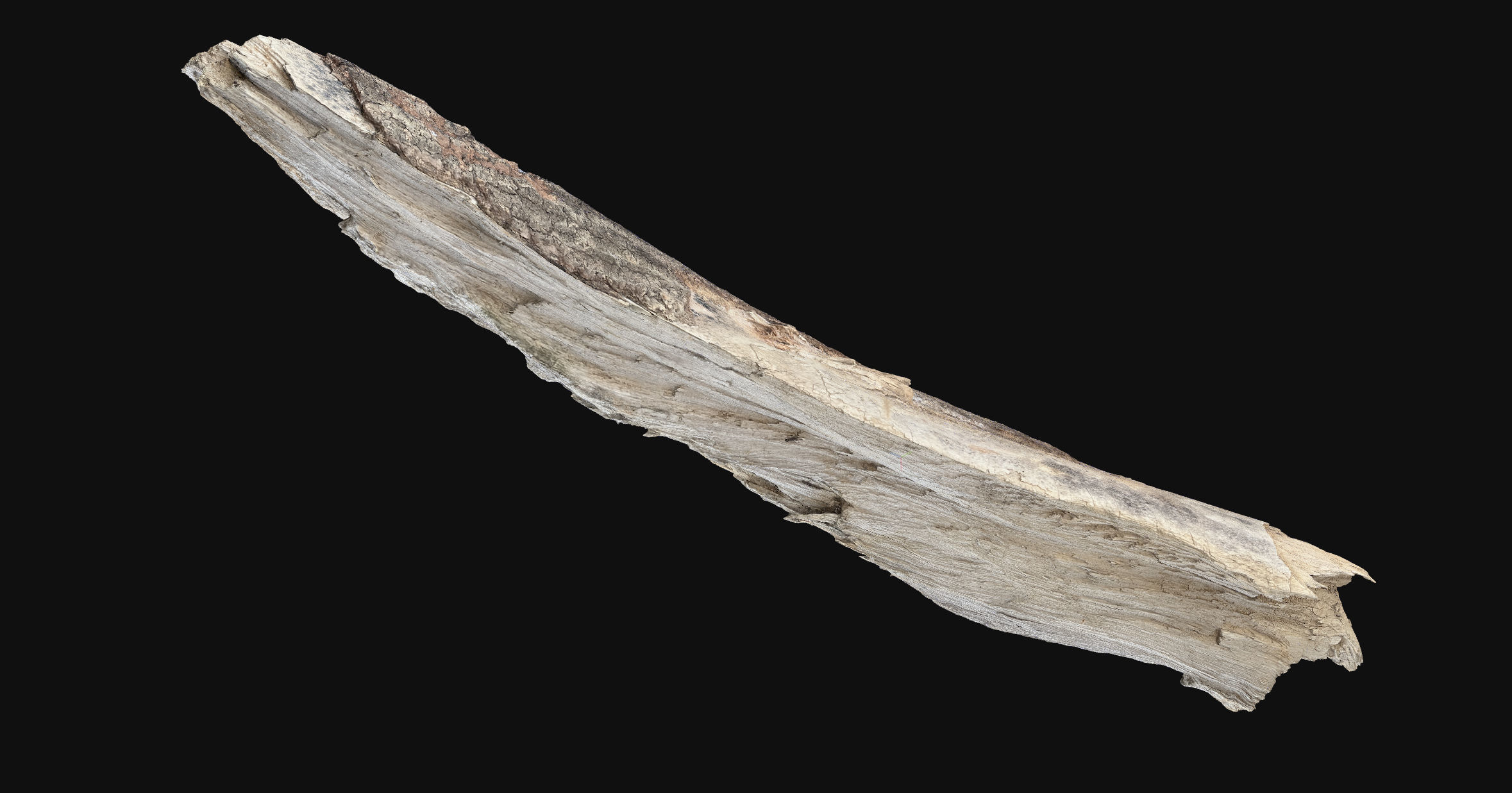 Peeling tree trunk wood in the real world 3d scan 3D model_21
