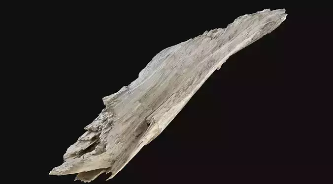 Peeling tree trunk wood in the real world 3d scan