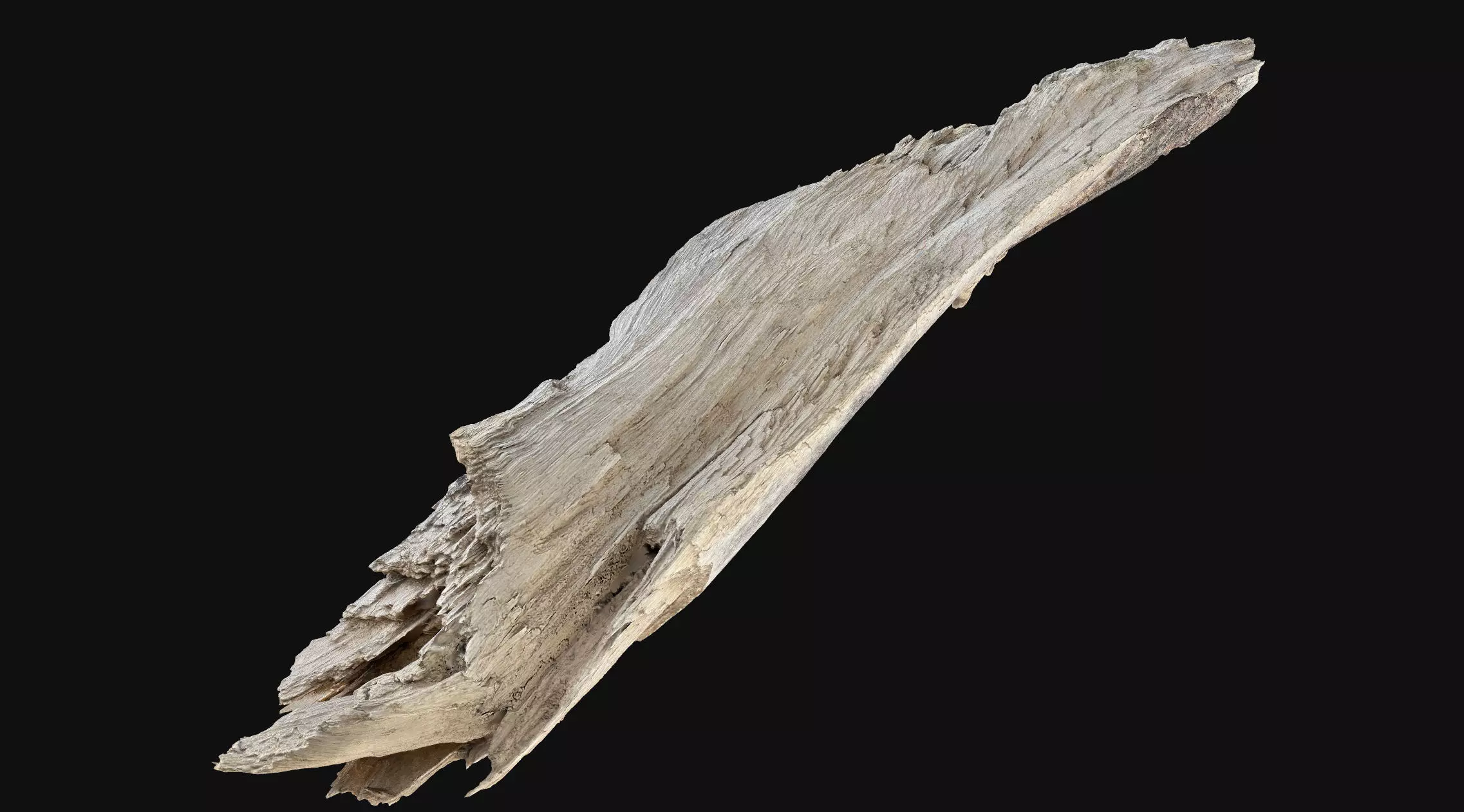 Peeling tree trunk wood in the real world 3d scan 3D model_0