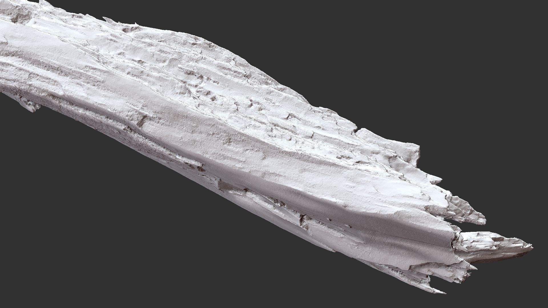 Peeling tree trunk wood in the real world 3d scan 3D model_34