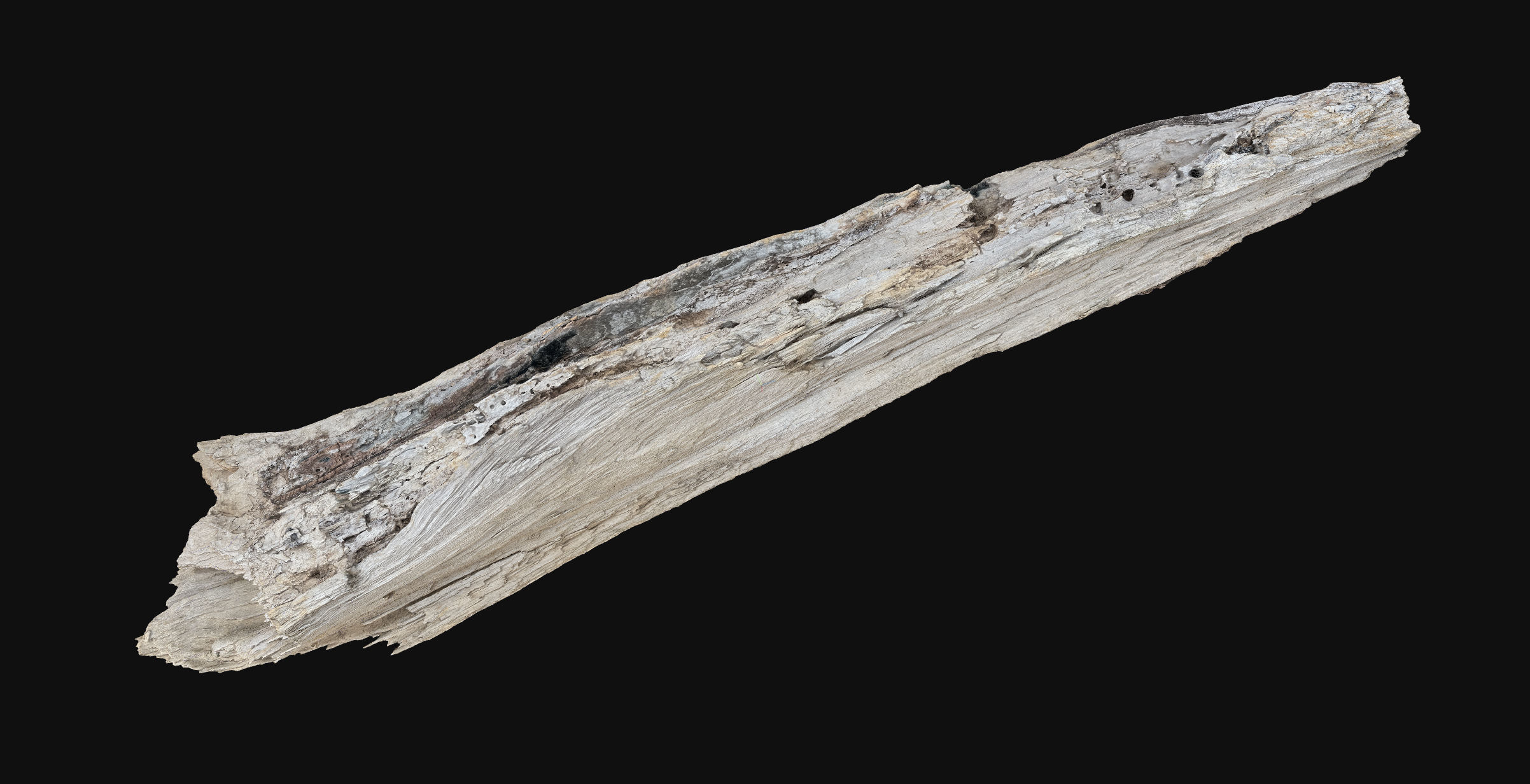 Peeling tree trunk wood in the real world 3d scan 3D model_10