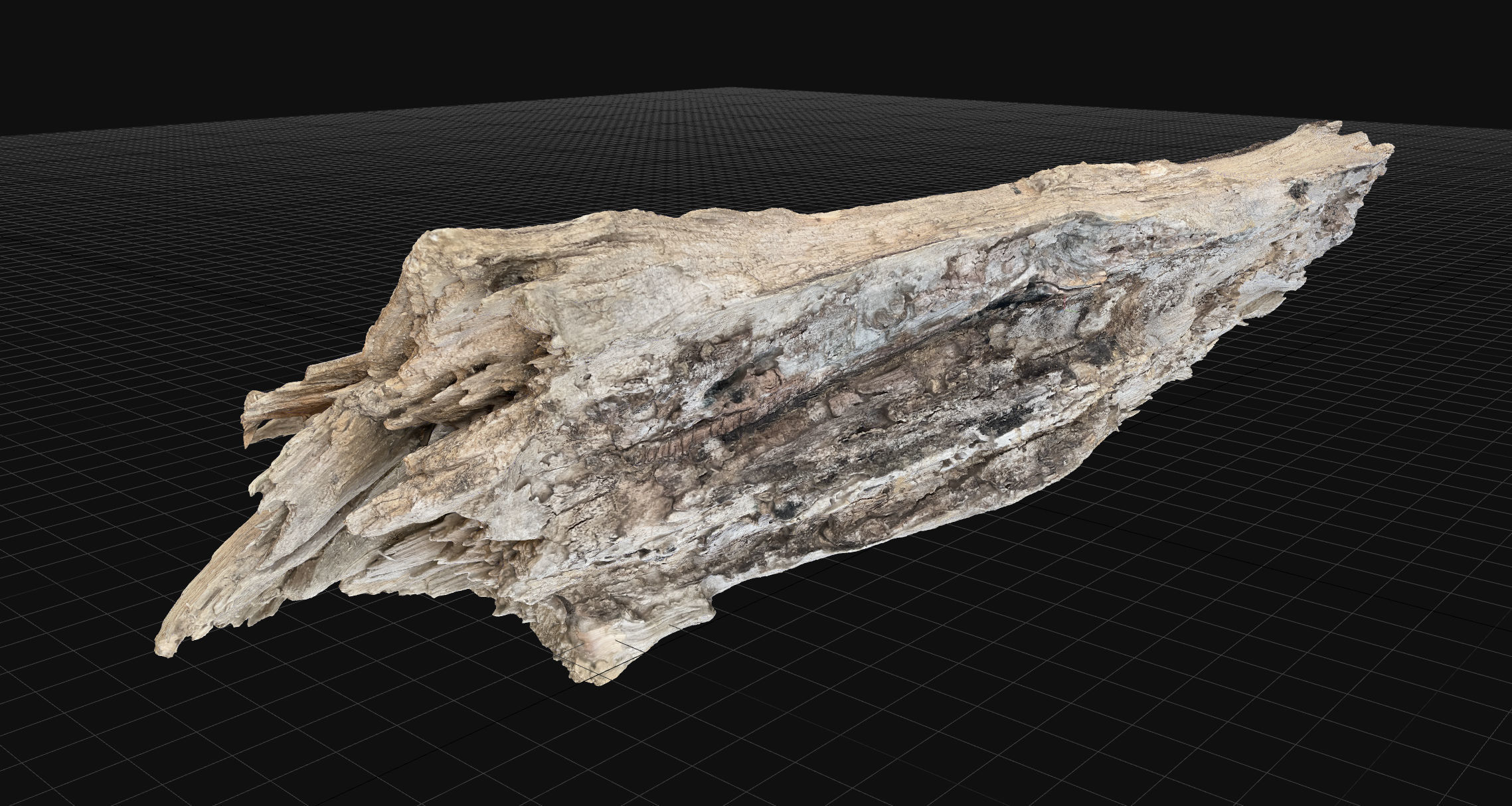 Peeling tree trunk wood in the real world 3d scan 3D model_18