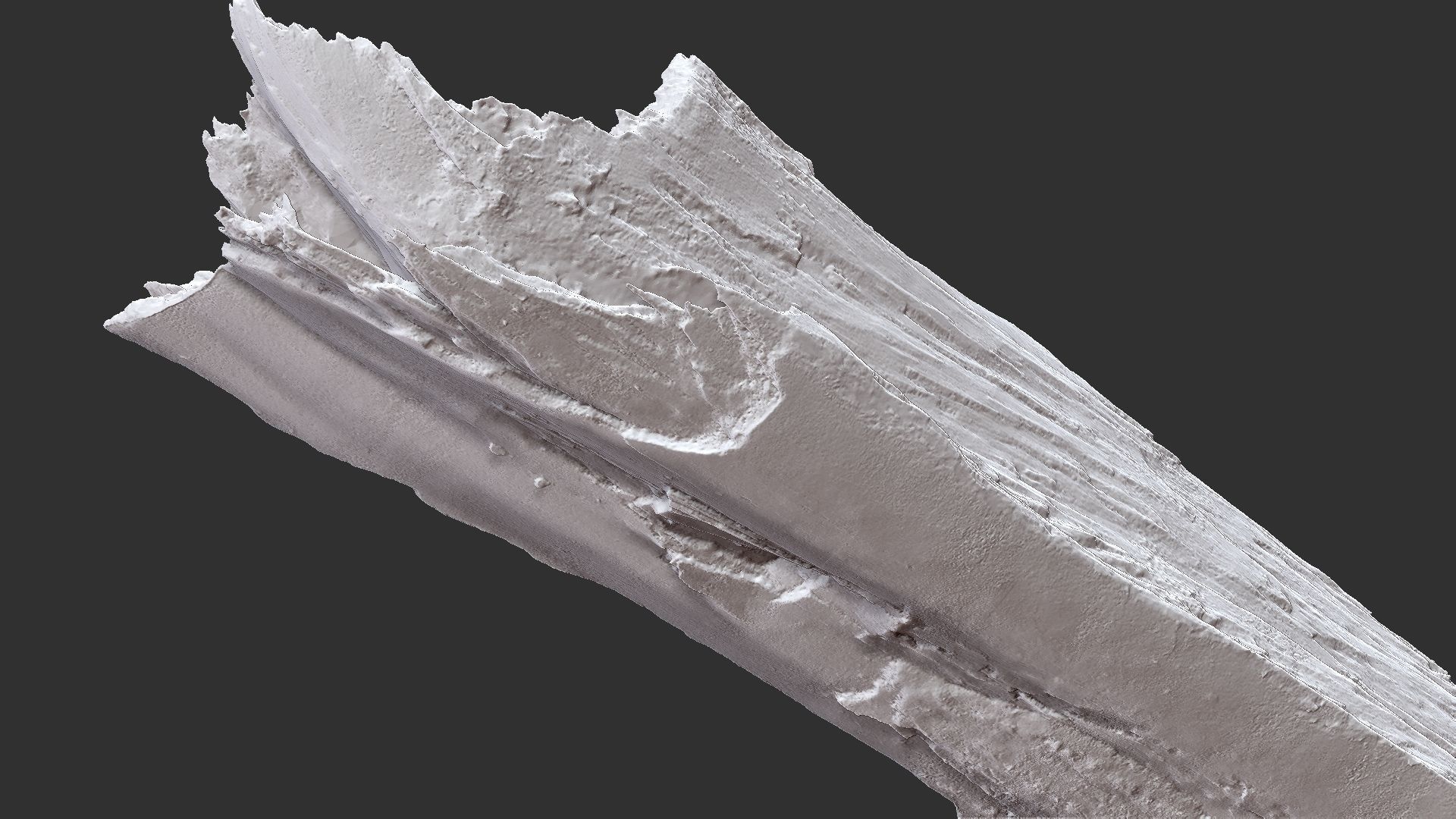 Peeling tree trunk wood in the real world 3d scan 3D model_33