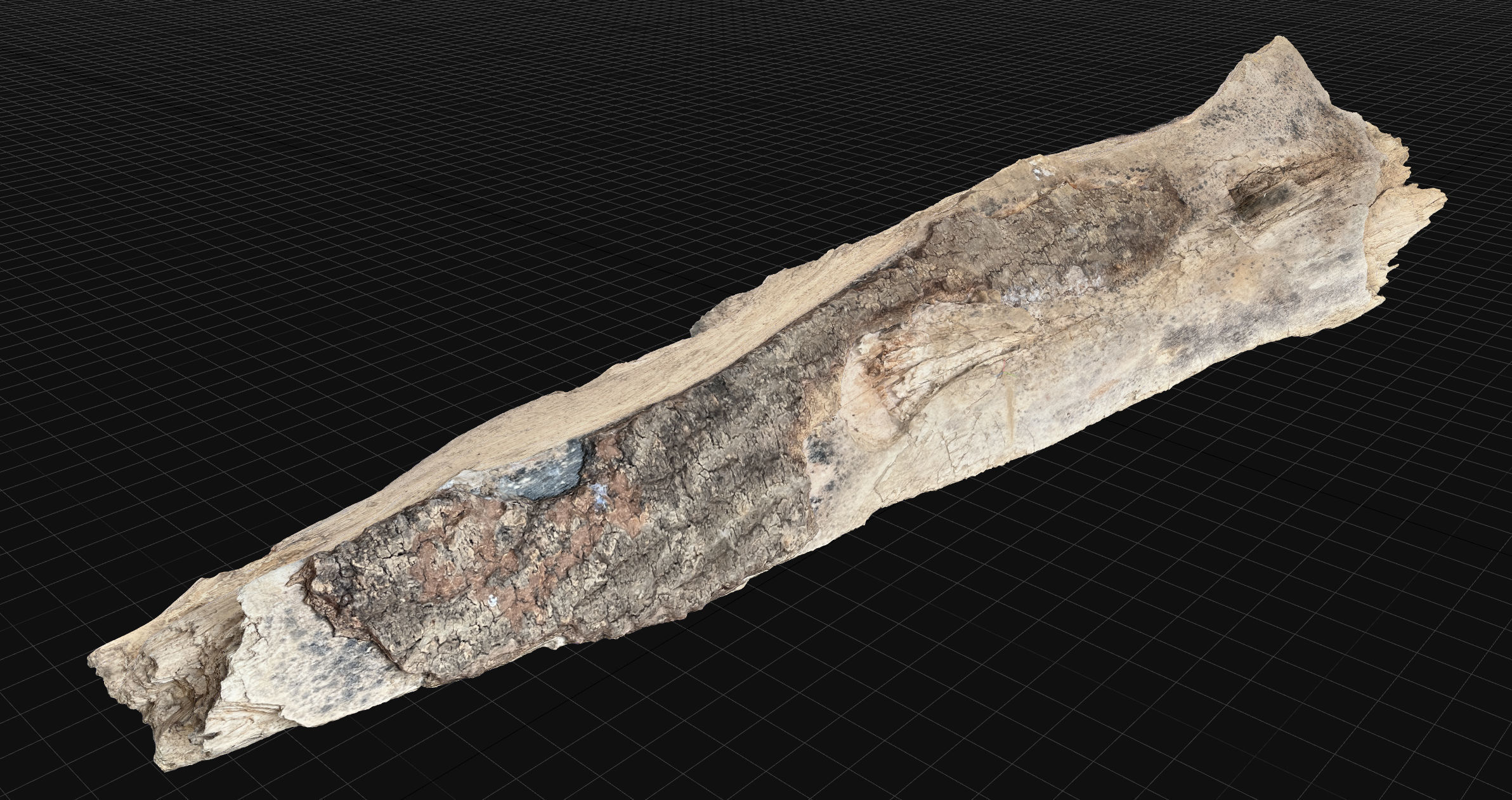 Peeling tree trunk wood in the real world 3d scan 3D model_1