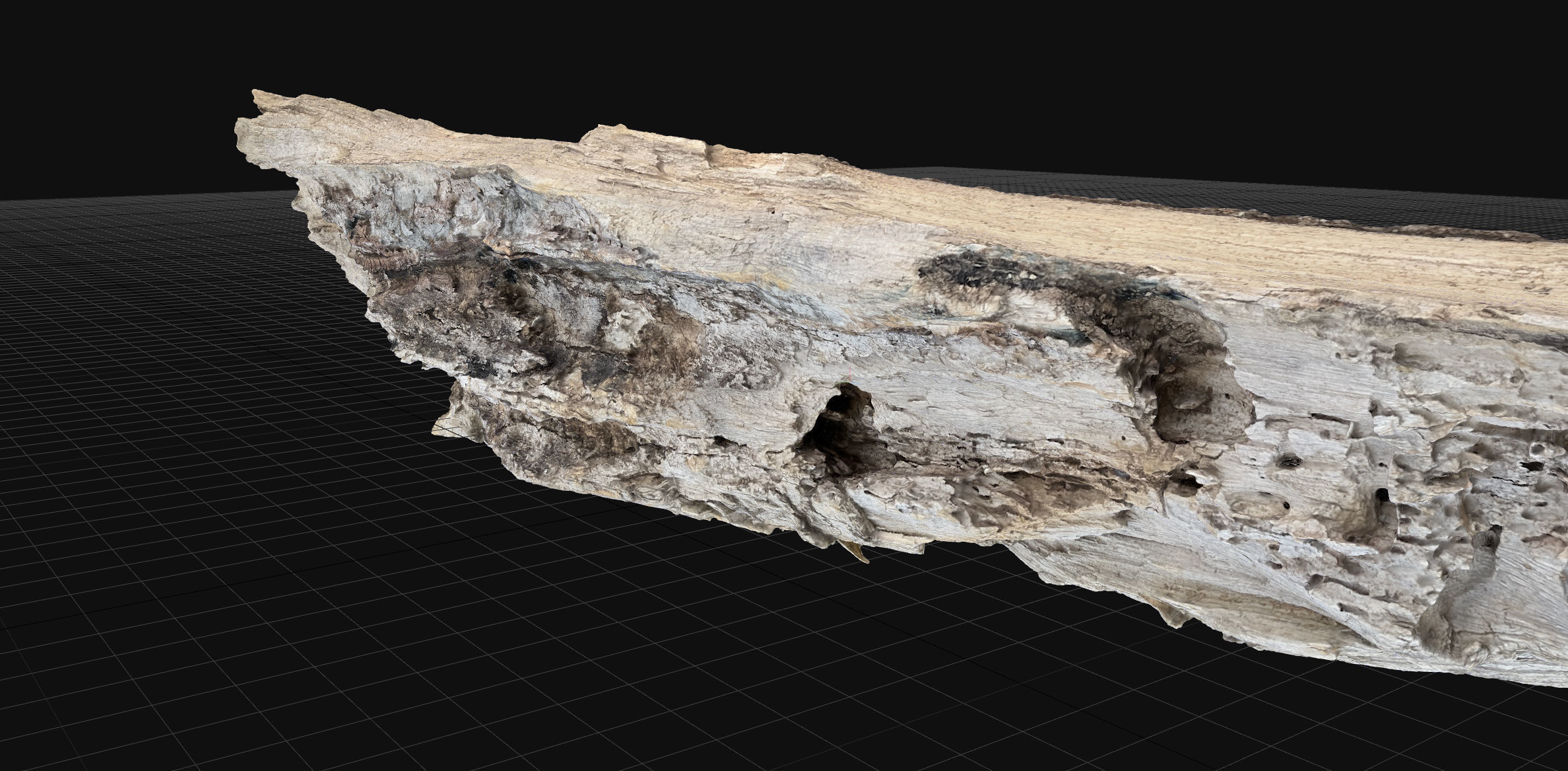 Peeling tree trunk wood in the real world 3d scan 3D model_11