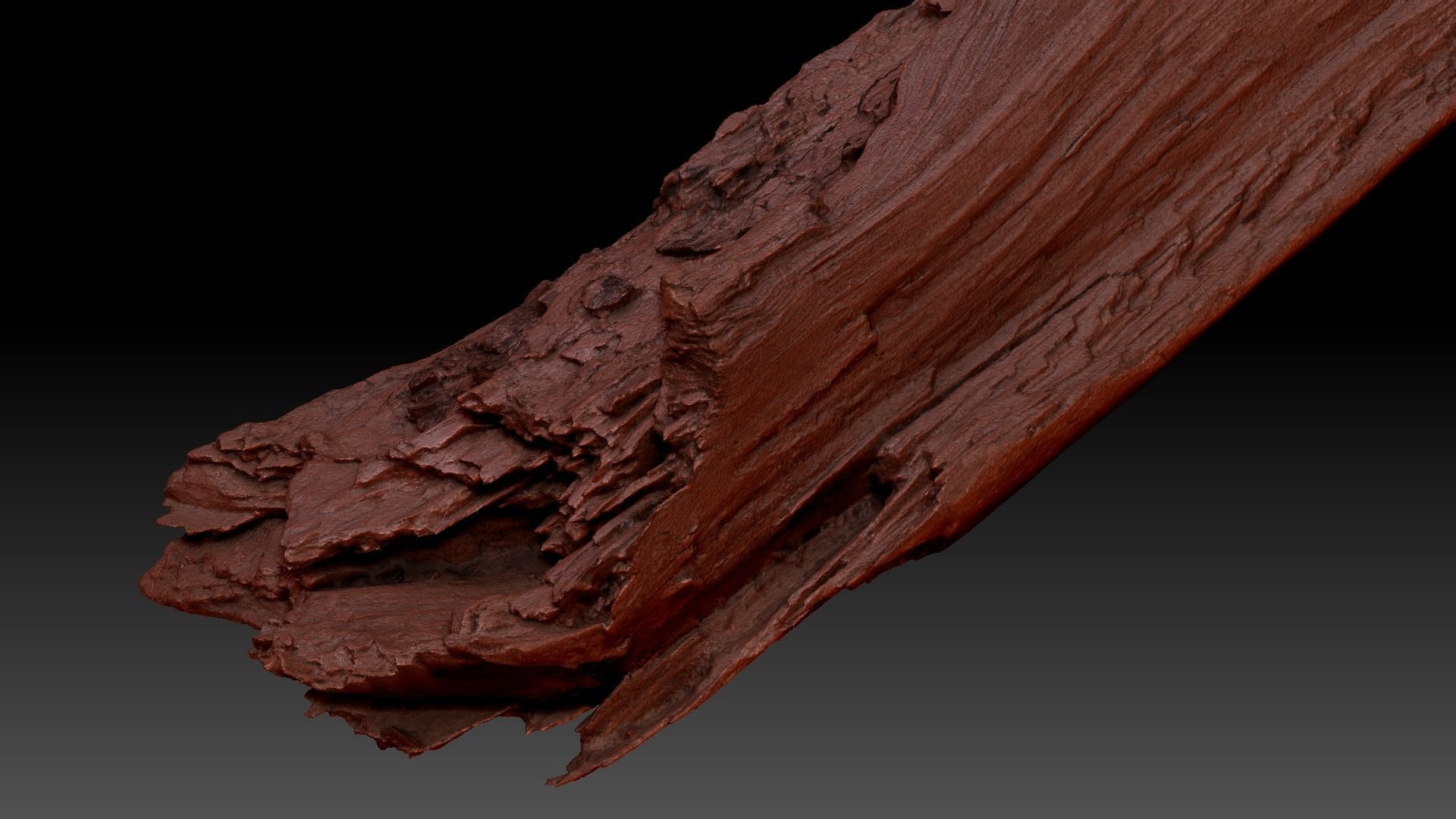 Peeling tree trunk wood in the real world 3d scan 3D model_14