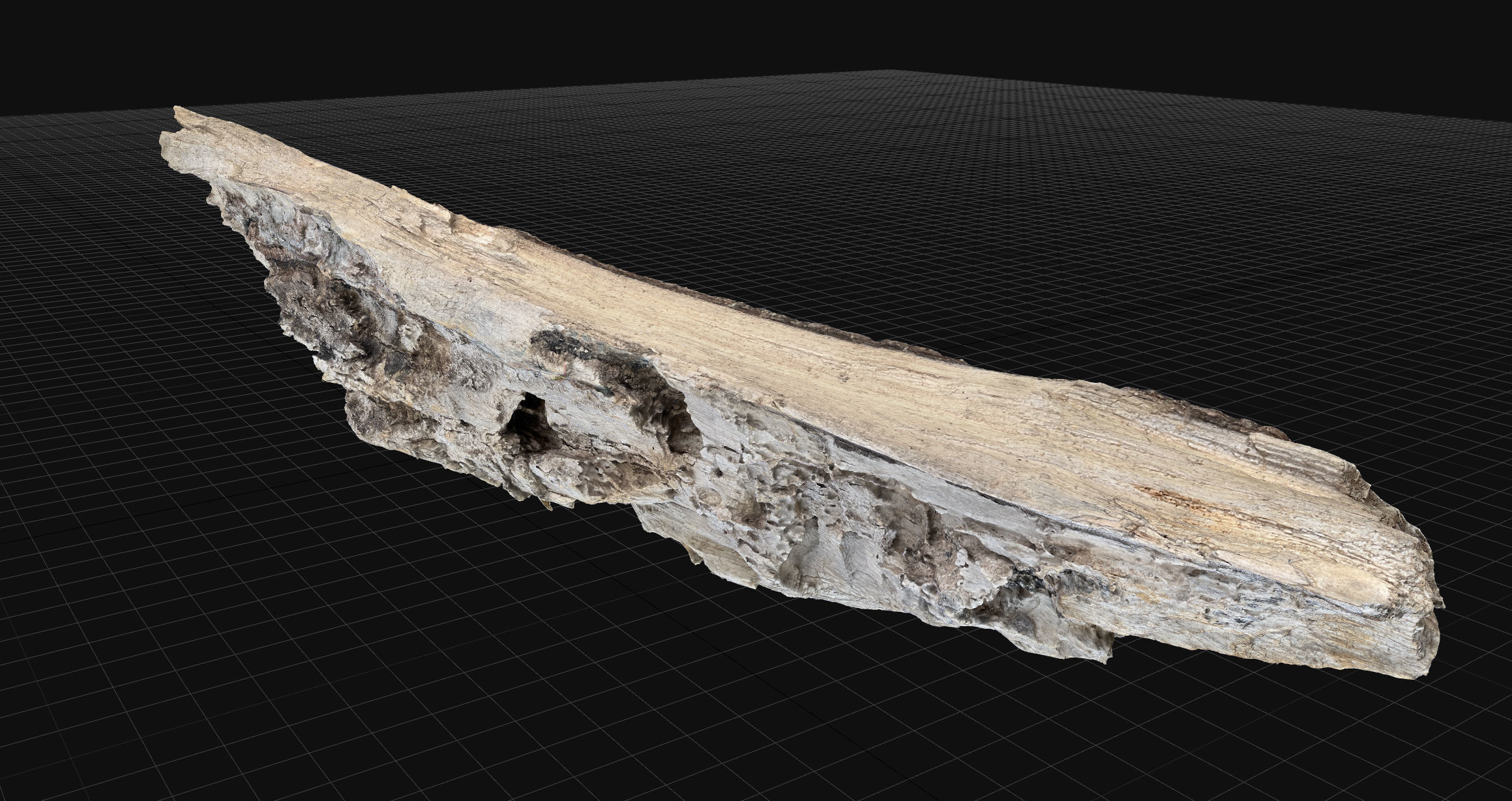 Peeling tree trunk wood in the real world 3d scan 3D model_17