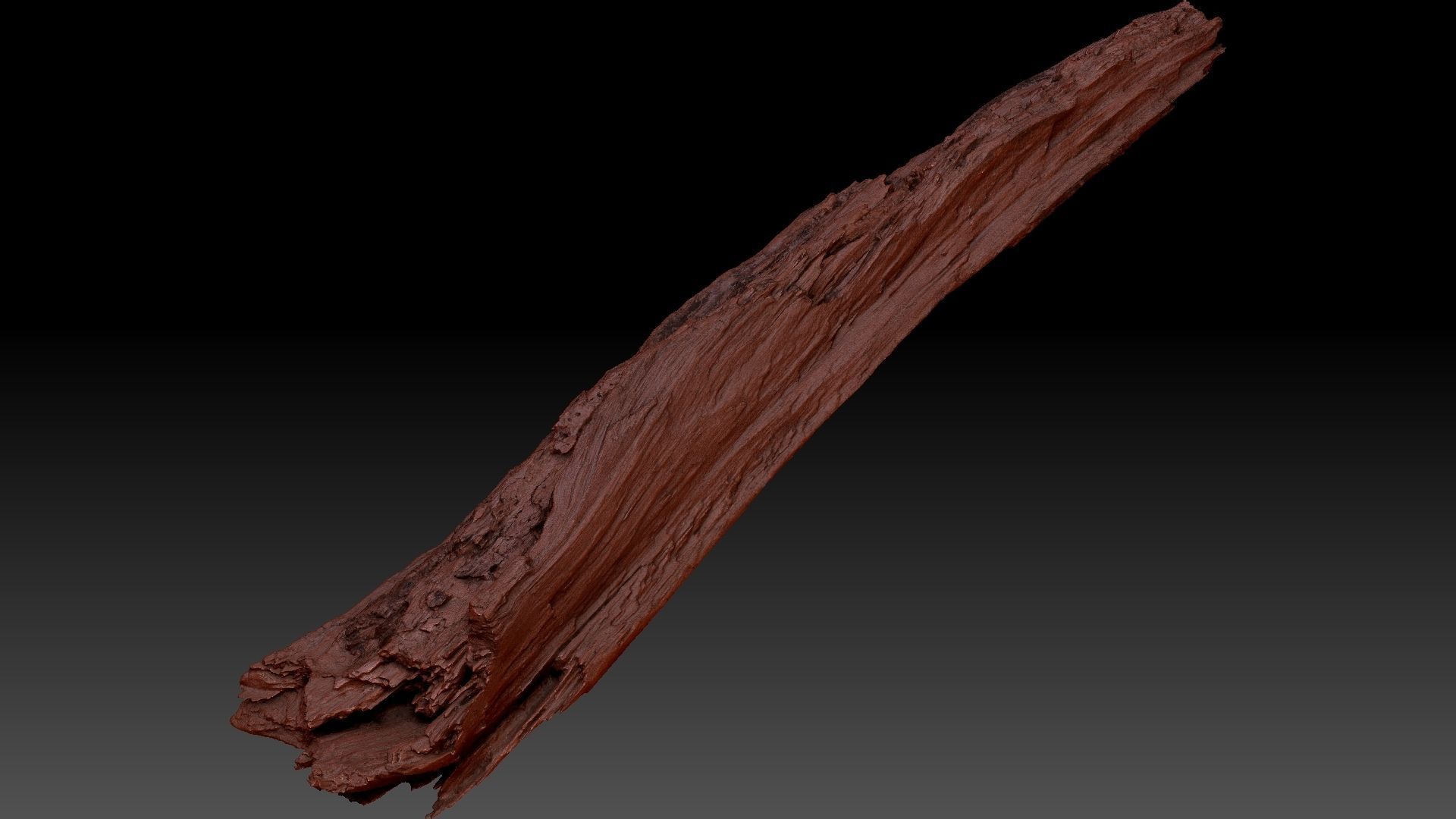 Peeling tree trunk wood in the real world 3d scan 3D model_13