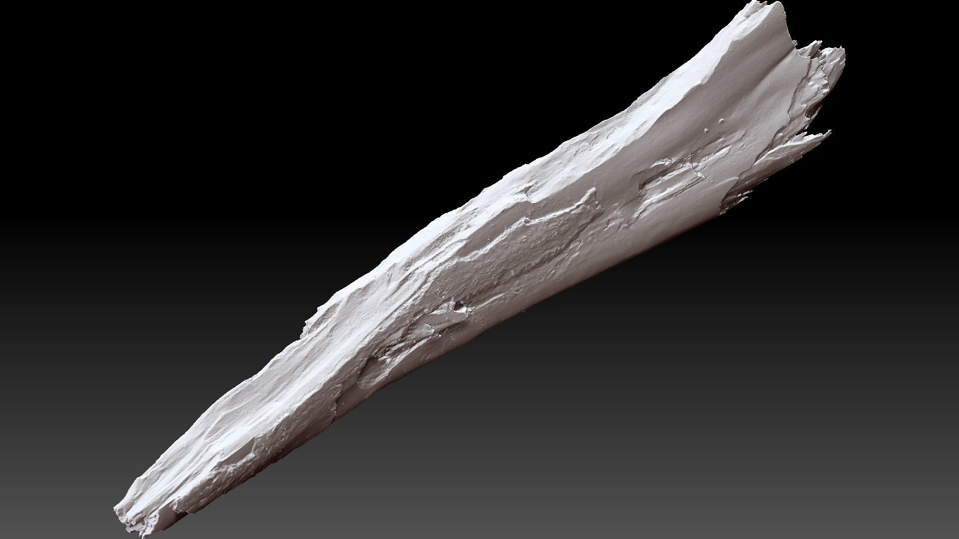 Peeling tree trunk wood in the real world 3d scan 3D model_32