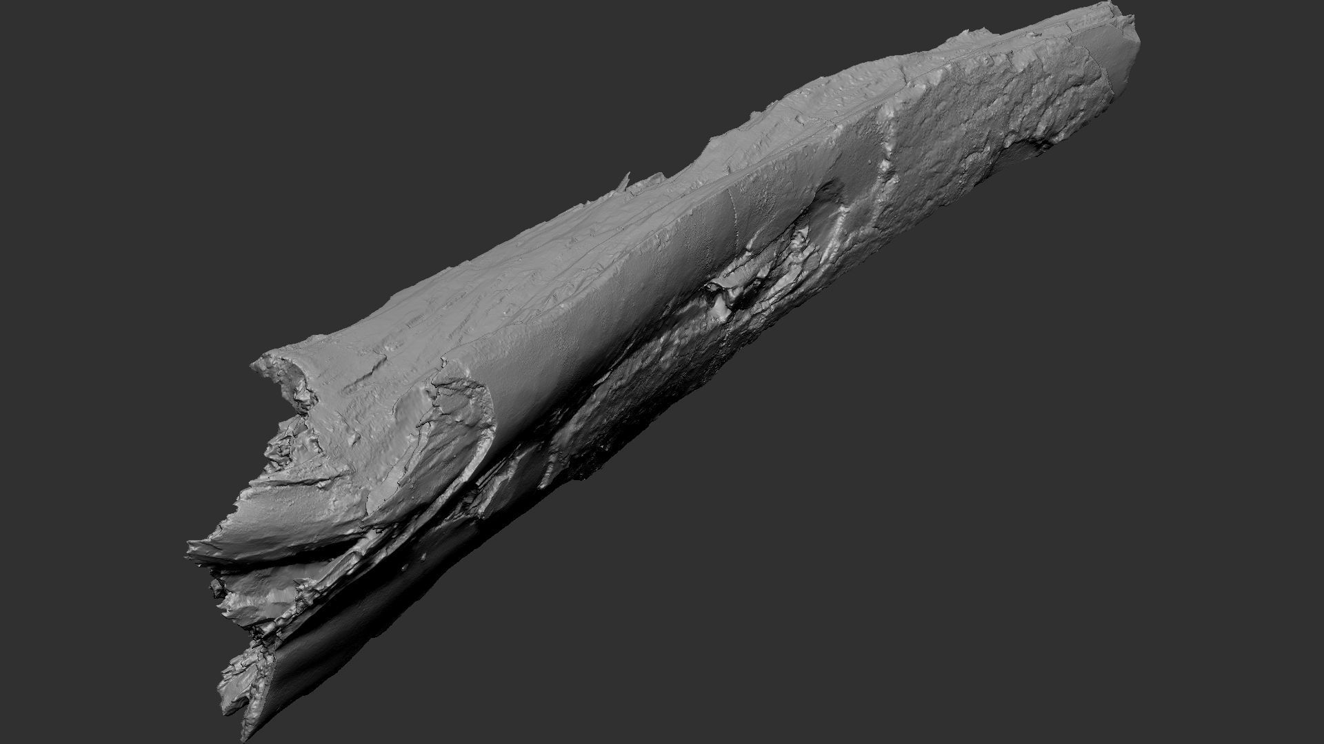 Peeling tree trunk wood in the real world 3d scan 3D model_30