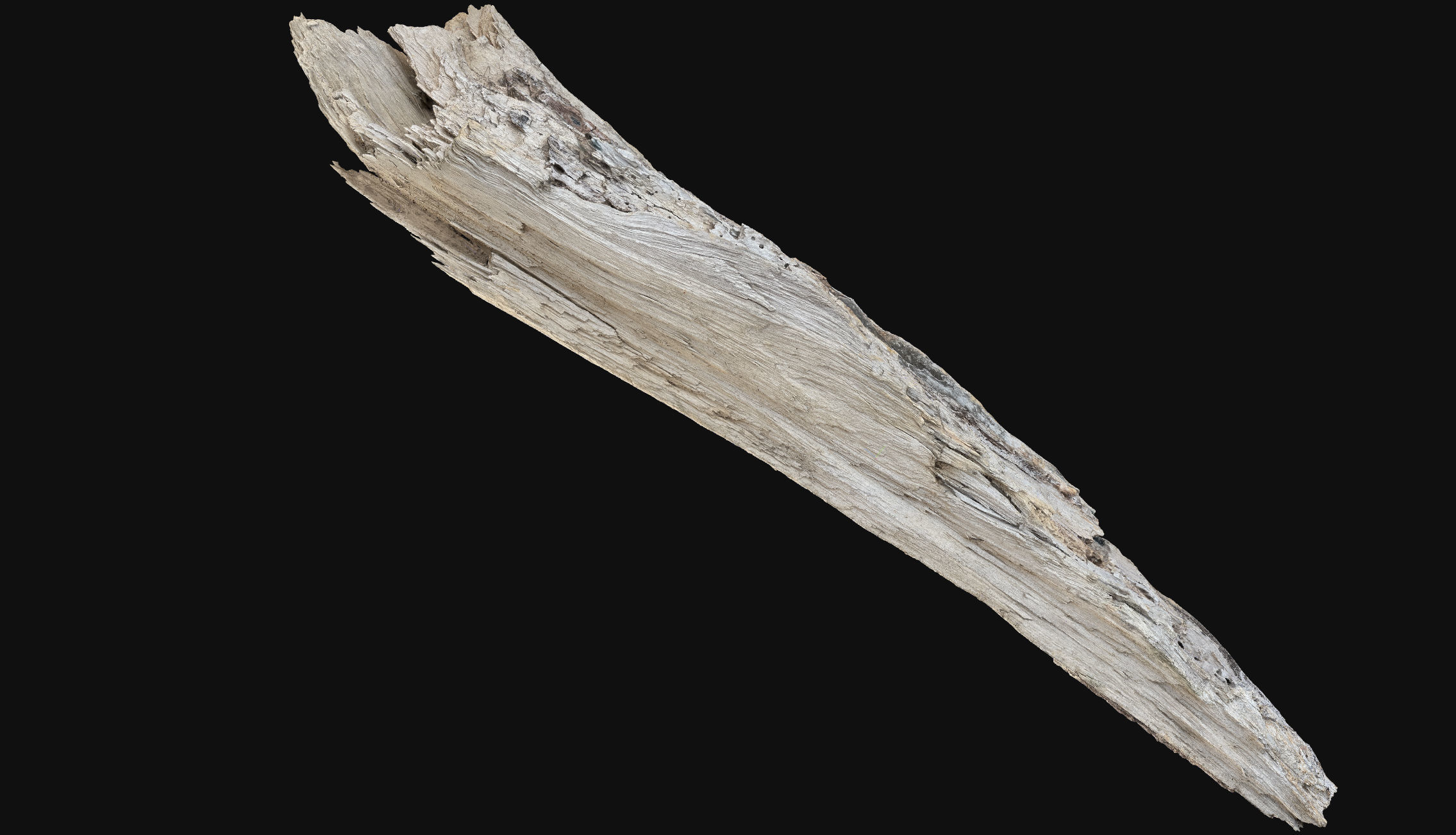 Peeling tree trunk wood in the real world 3d scan 3D model_23