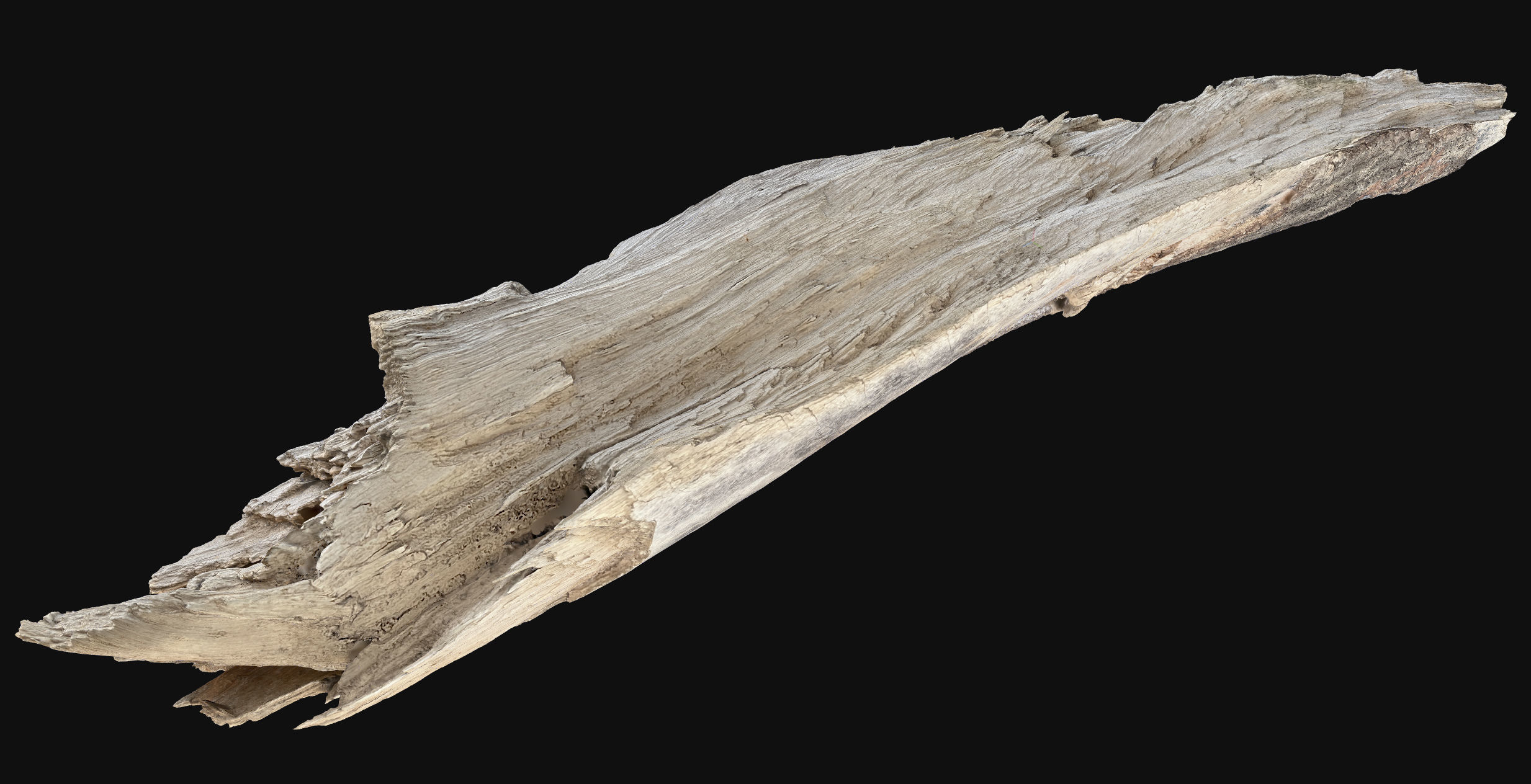Peeling tree trunk wood in the real world 3d scan 3D model_22