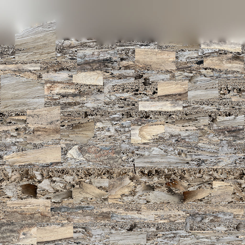 Peeling tree trunk wood in the real world 3d scan 3D model_15