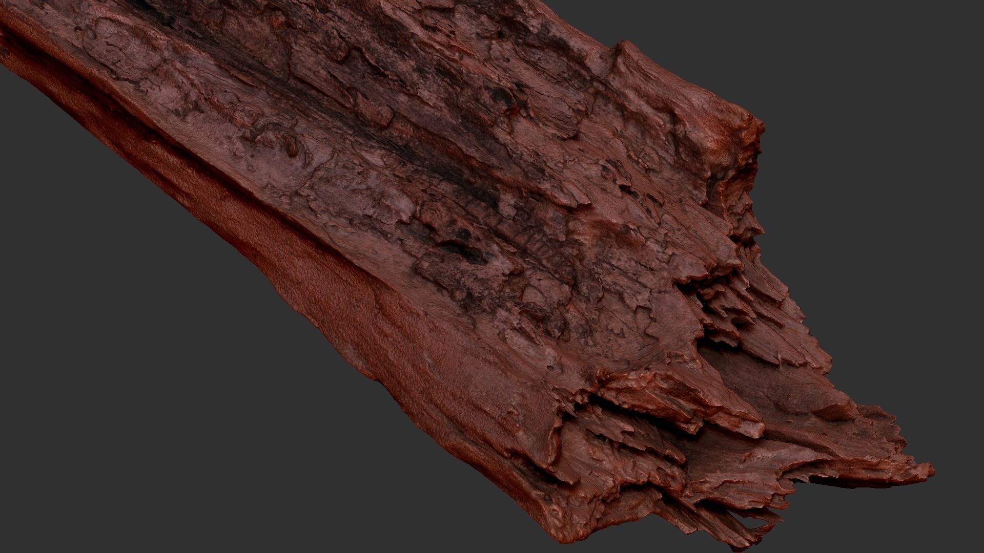 Peeling tree trunk wood in the real world 3d scan 3D model_28