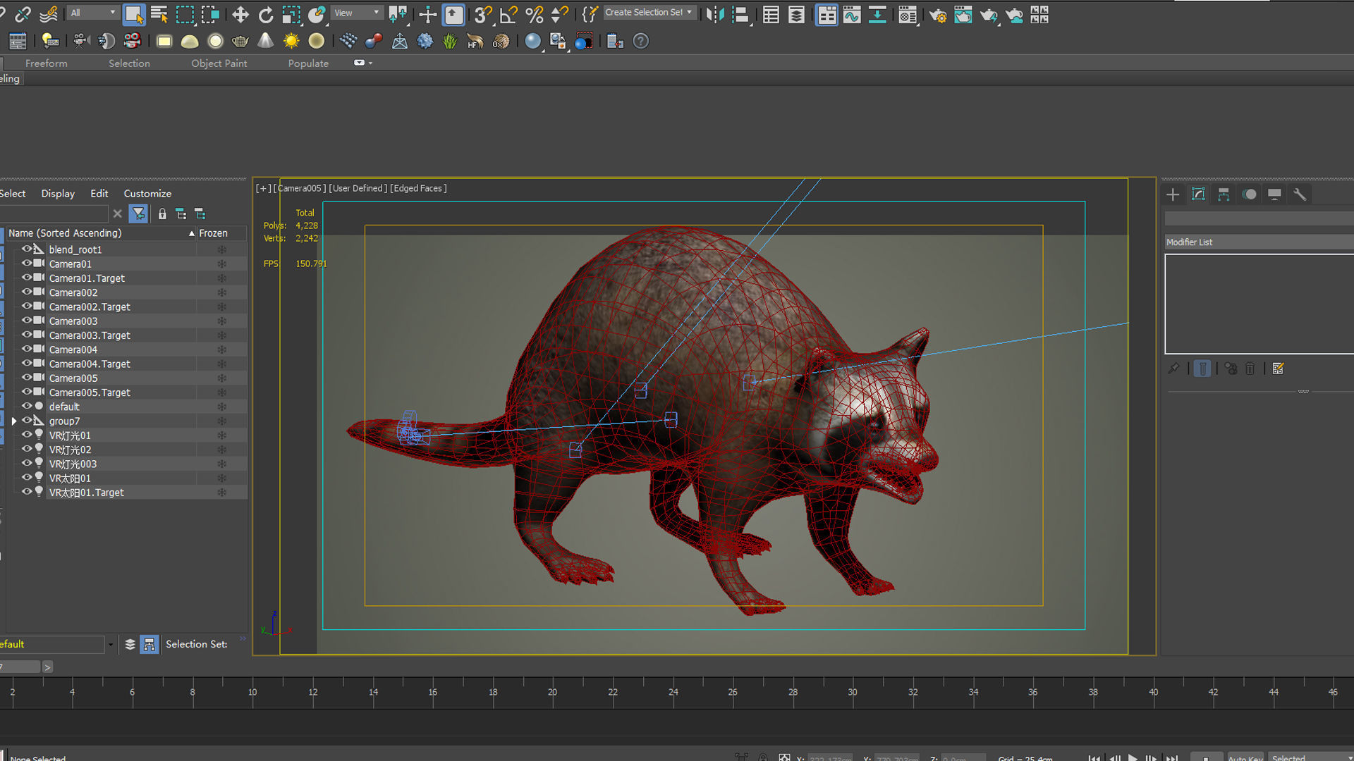 Raccoon animal rodent animal dog mammal  nature kitty 3D model_5