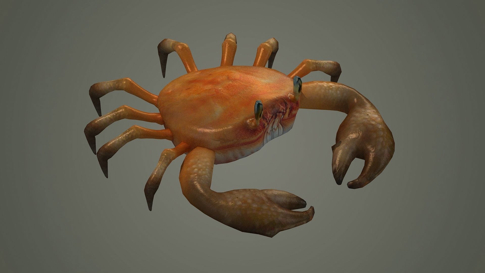 crab animal 3d model texture arthropod character  3D model_2