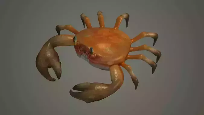 crab animal 3d model texture arthropod character  3D model