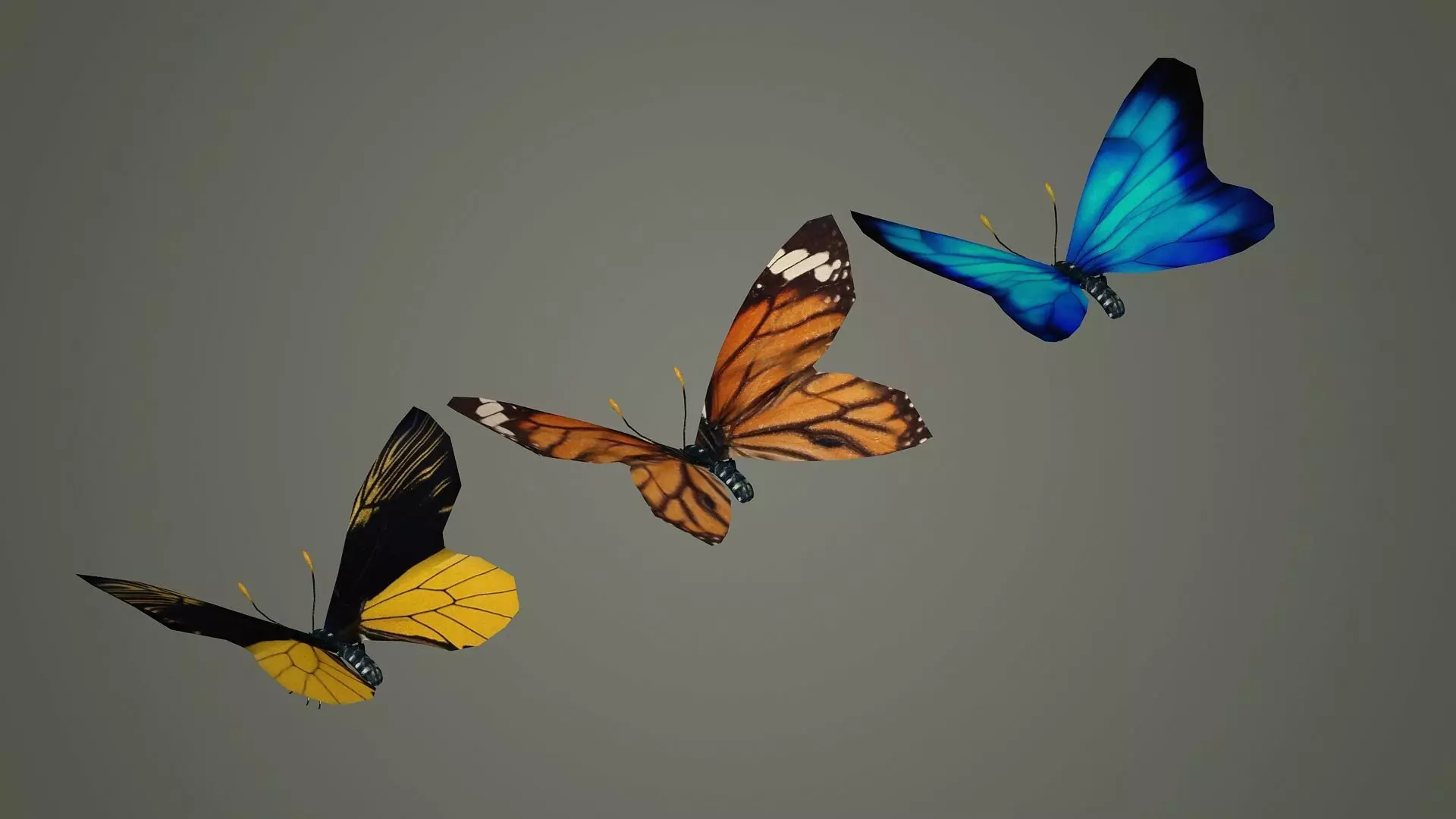 butterfly antenna wing insect fly wildlife summer sky 3D model