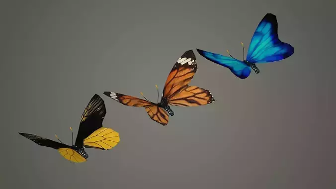 butterfly antenna wing insect fly wildlife summer sky 