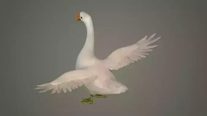 goose bird nature water grass animal neck 