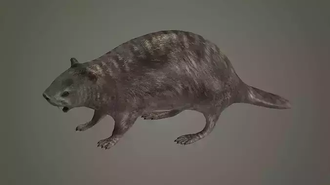 animal mammal groundhog rodent beaver squirrel 