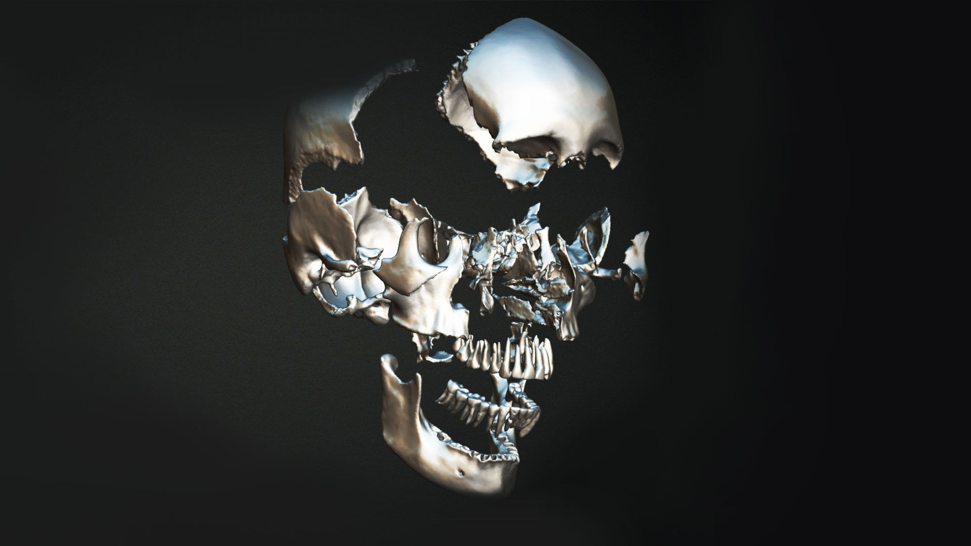 Human Skull Animation Low-poly 3D model_8
