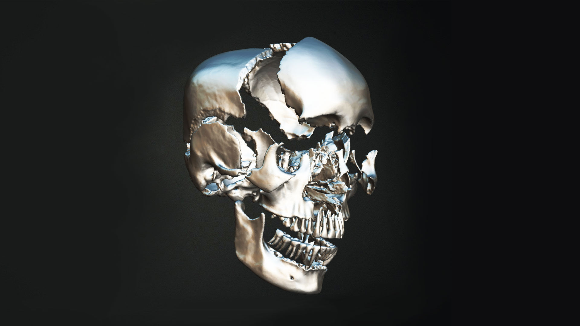 Human Skull Animation Low-poly 3D model_7