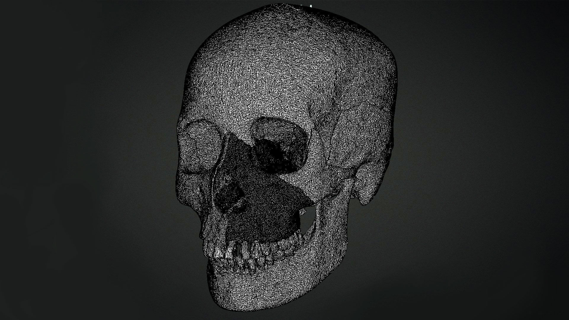 Human Skull Animation Low-poly 3D model_11