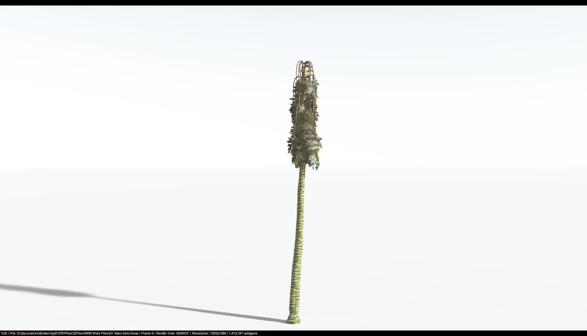 EVERYPlant Papaya 1 --14 Models-- 3D model_17