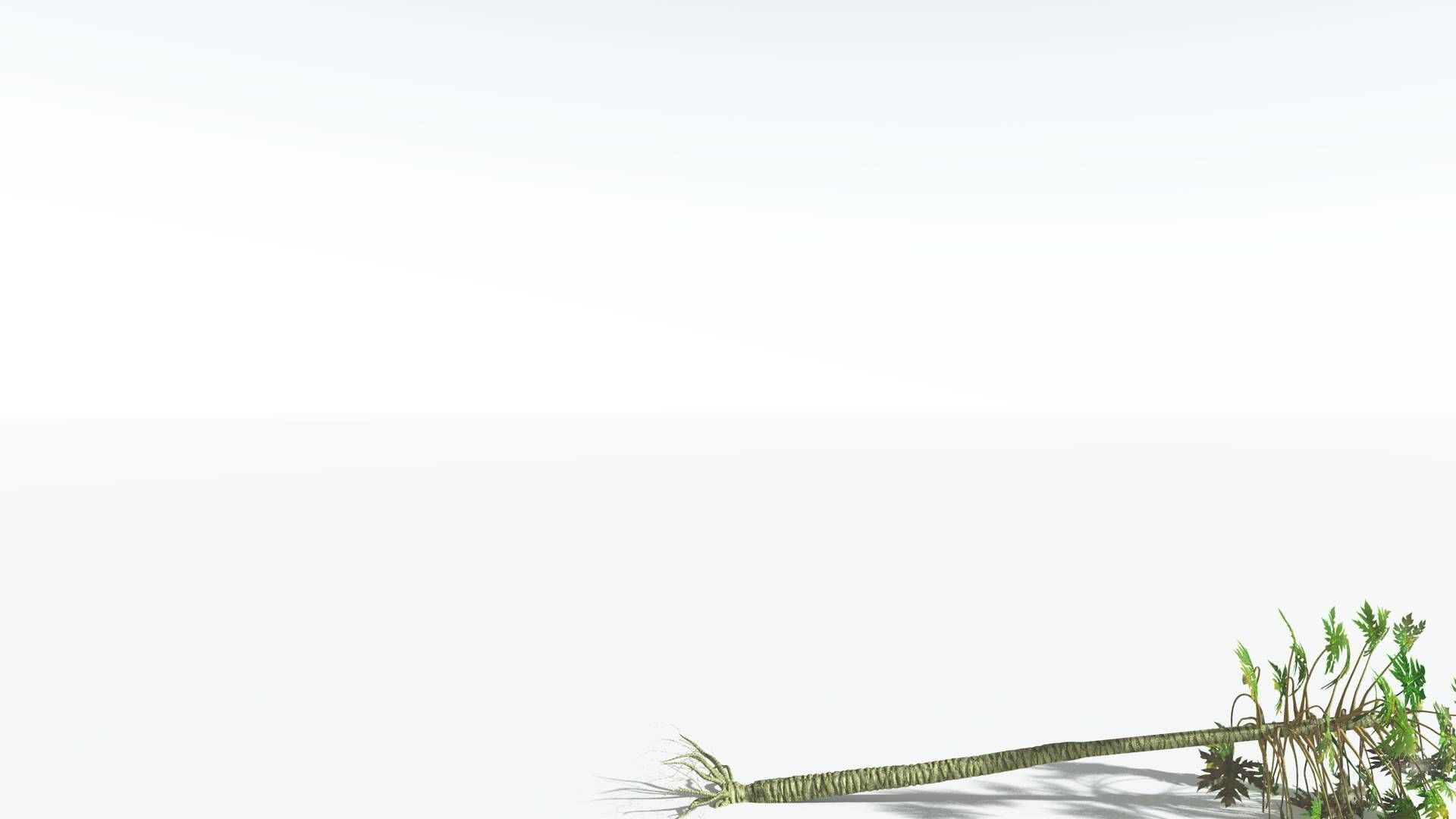 EVERYPlant Papaya 1 --14 Models-- 3D model_19