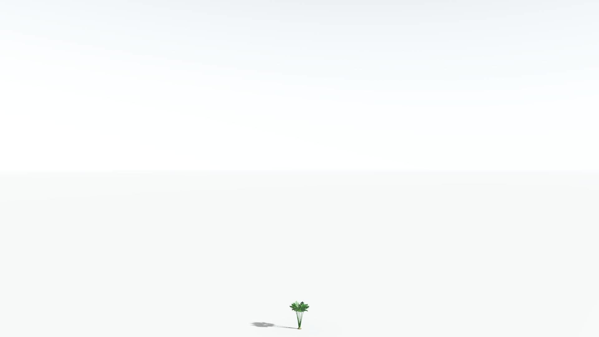 EVERYPlant Papaya 1 --14 Models-- 3D model_27