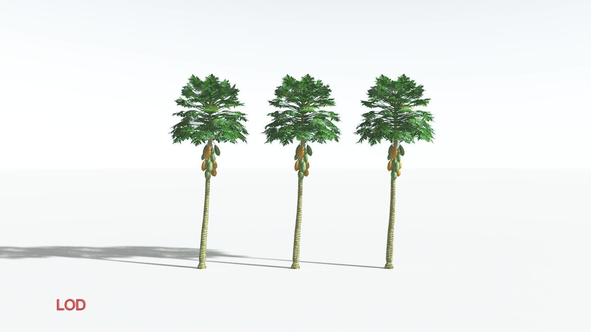 EVERYPlant Papaya 1 --14 Models-- 3D model_4