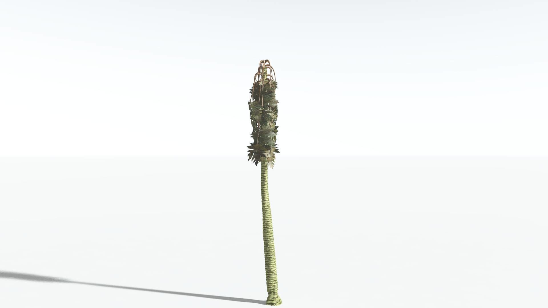 EVERYPlant Papaya 2 --14 Models-- 3D model_17