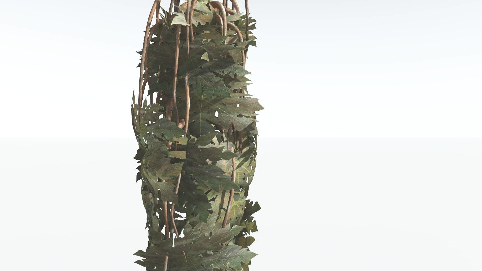 EVERYPlant Papaya 2 --14 Models-- 3D model_18