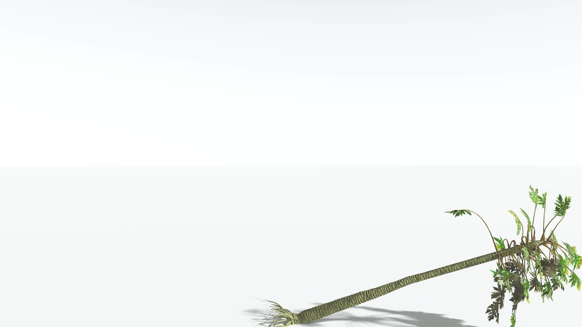 EVERYPlant Papaya 2 --14 Models-- 3D model_19