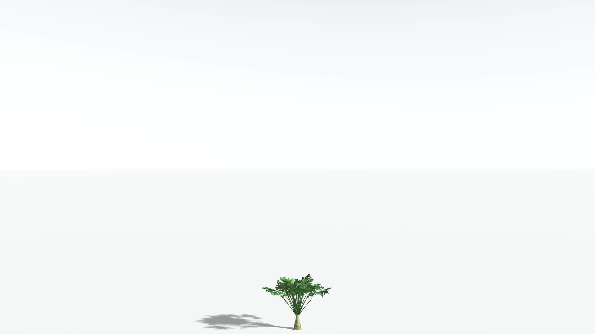 EVERYPlant Papaya 2 --14 Models-- 3D model_25