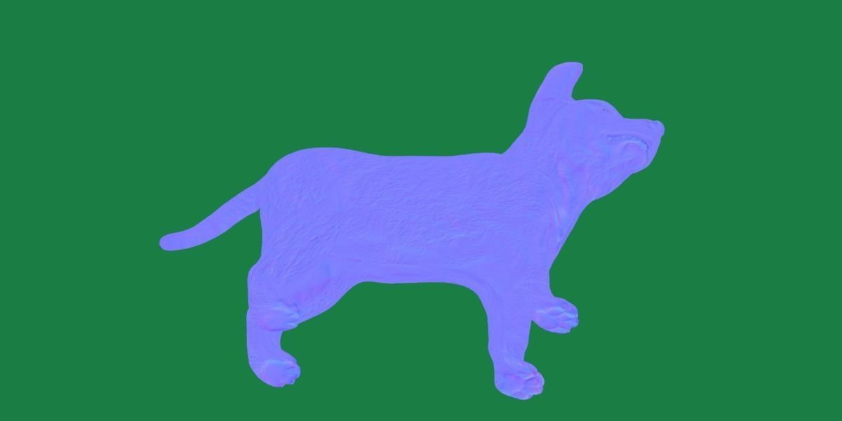 Belgian Shepherd Puppy Dog Low-poly 3D model_21