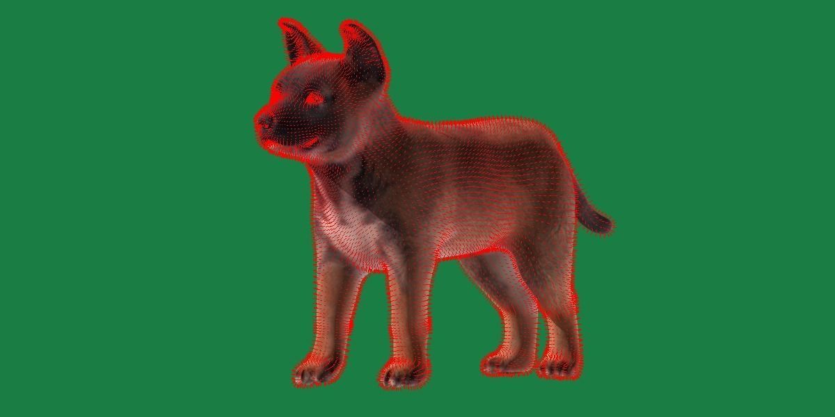 Belgian Shepherd Puppy Dog Low-poly 3D model_9