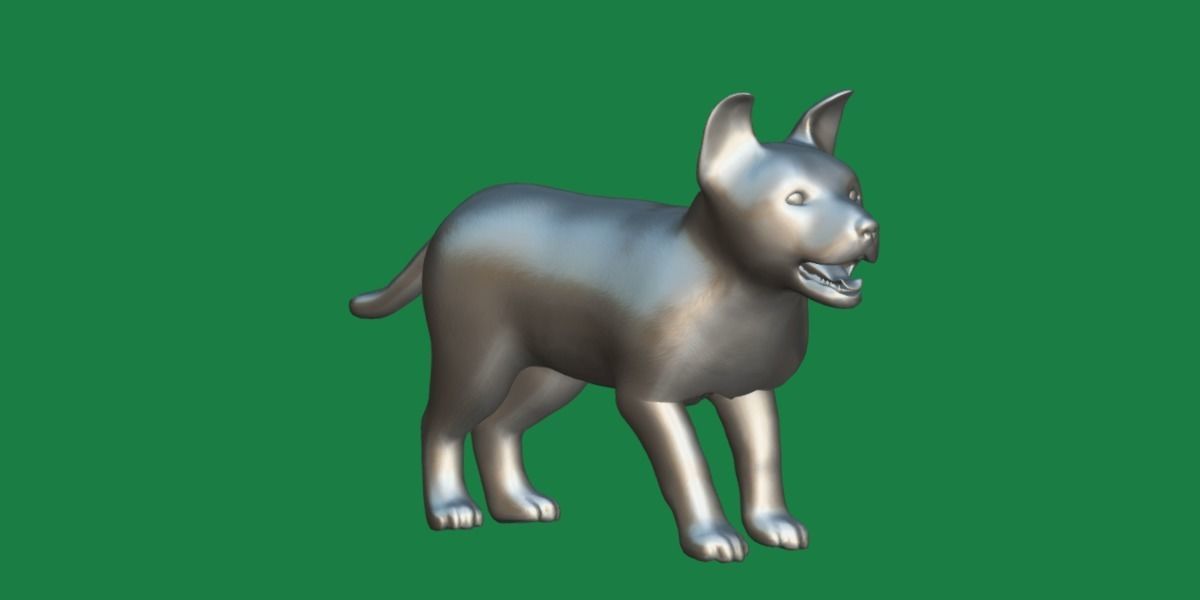 Belgian Shepherd Puppy Dog Low-poly 3D model_6