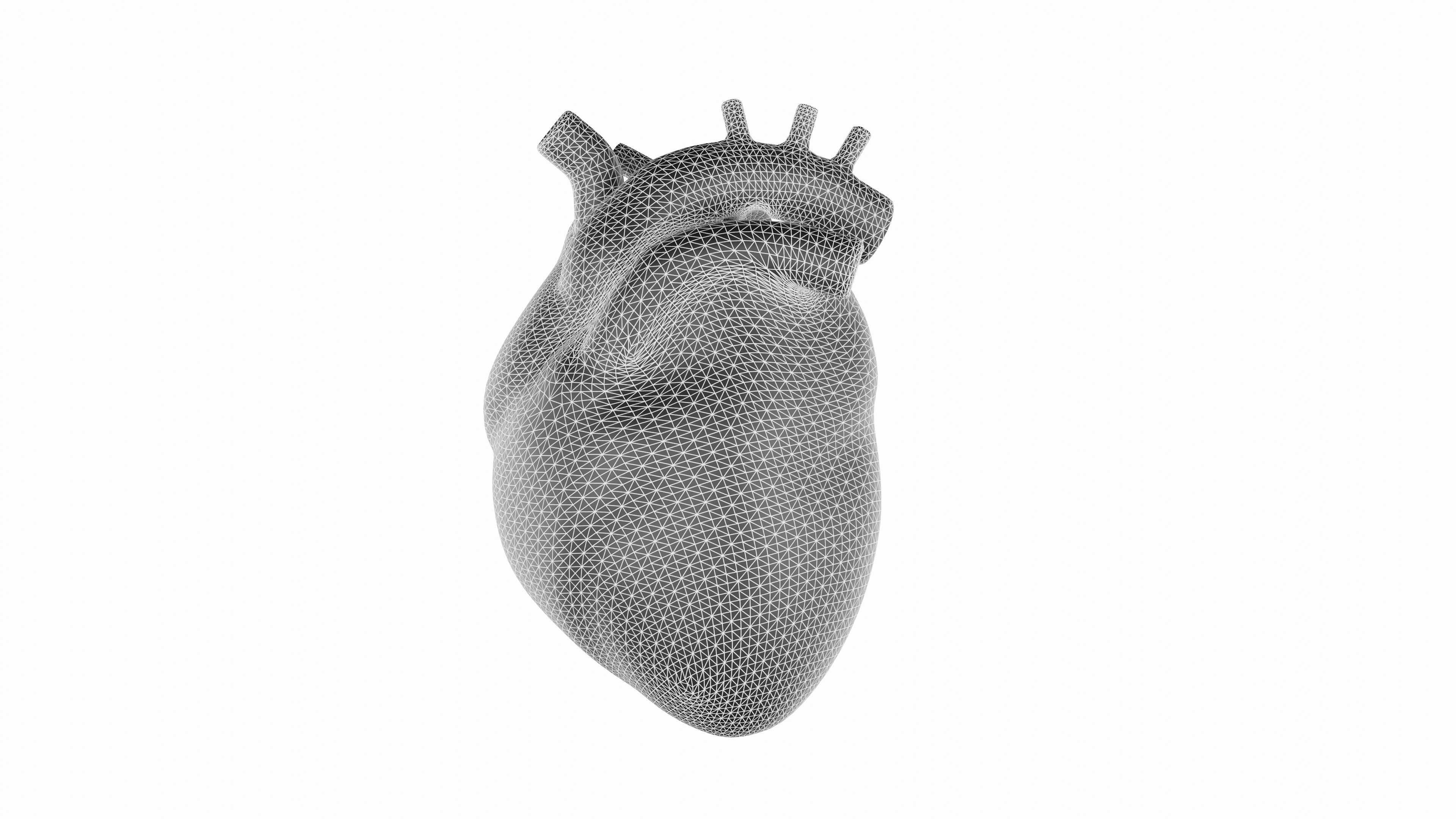 Heart 3D Model Low-poly 3D model_7