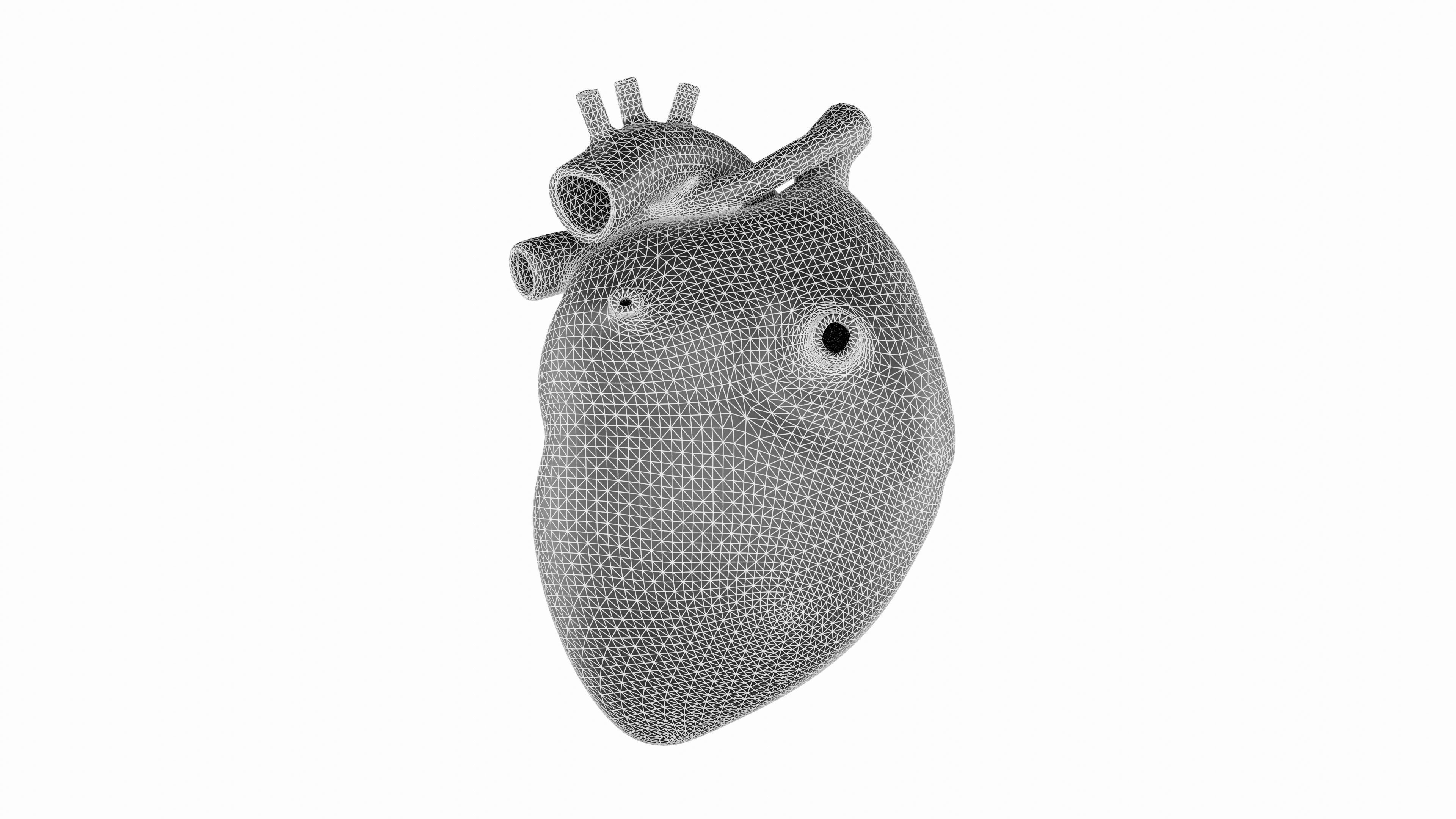 Heart 3D Model Low-poly 3D model_10
