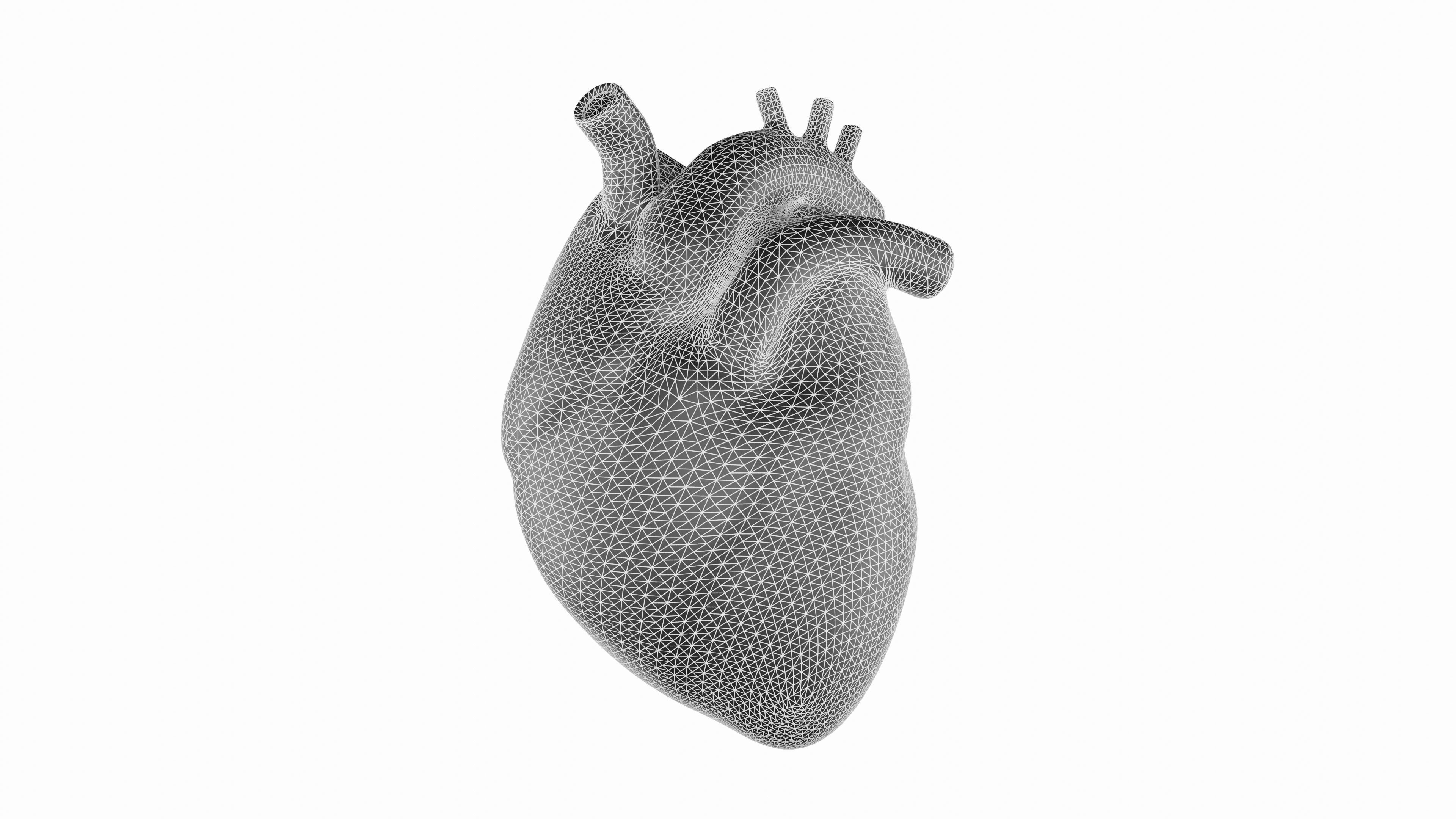 Heart 3D Model Low-poly 3D model_6