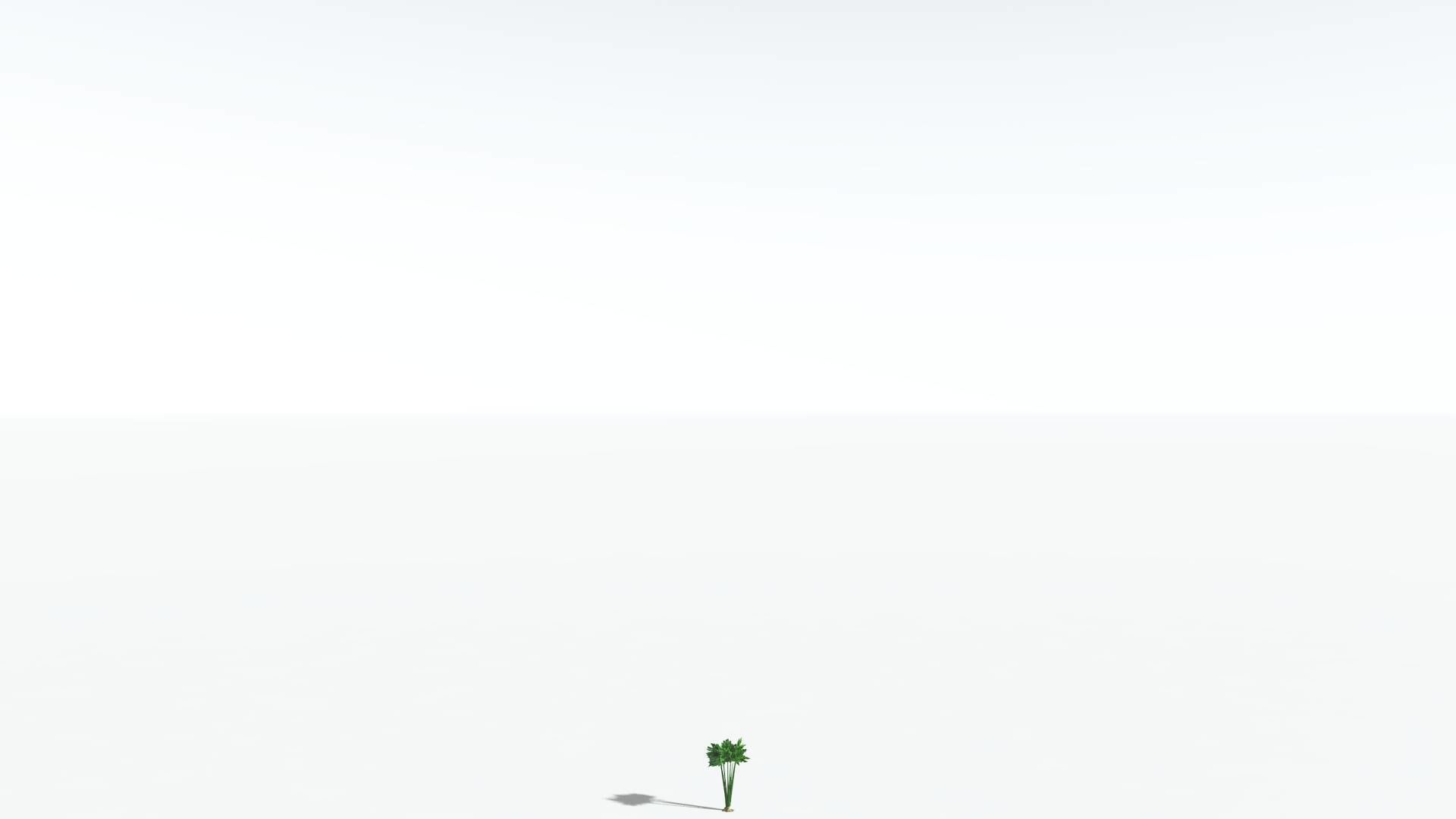 EVERYPlant Papaya 3 --14 Models-- 3D model_27