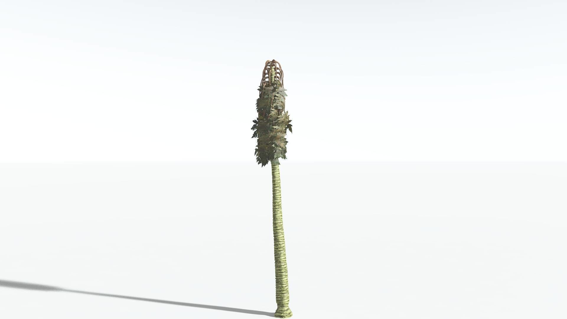 EVERYPlant Papaya 3 --14 Models-- 3D model_17