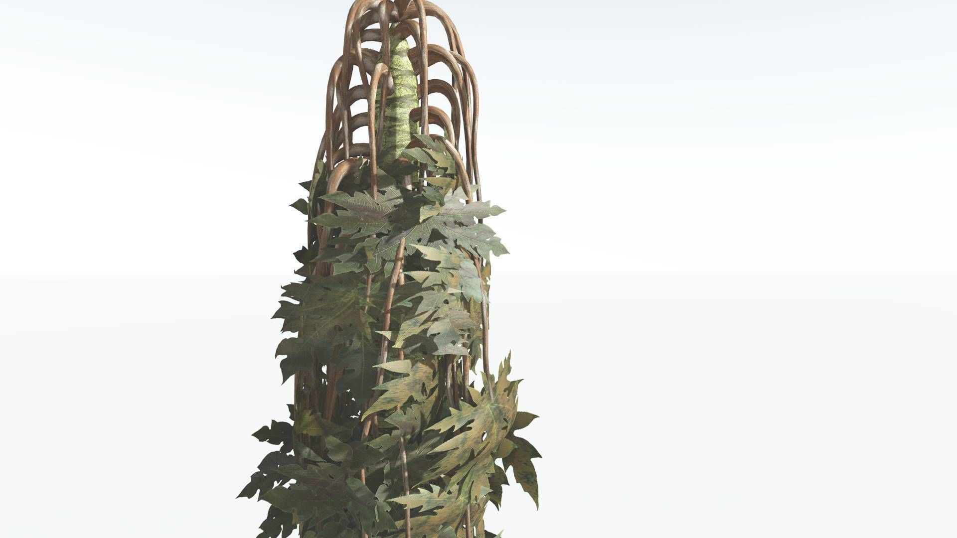 EVERYPlant Papaya 3 --14 Models-- 3D model_18