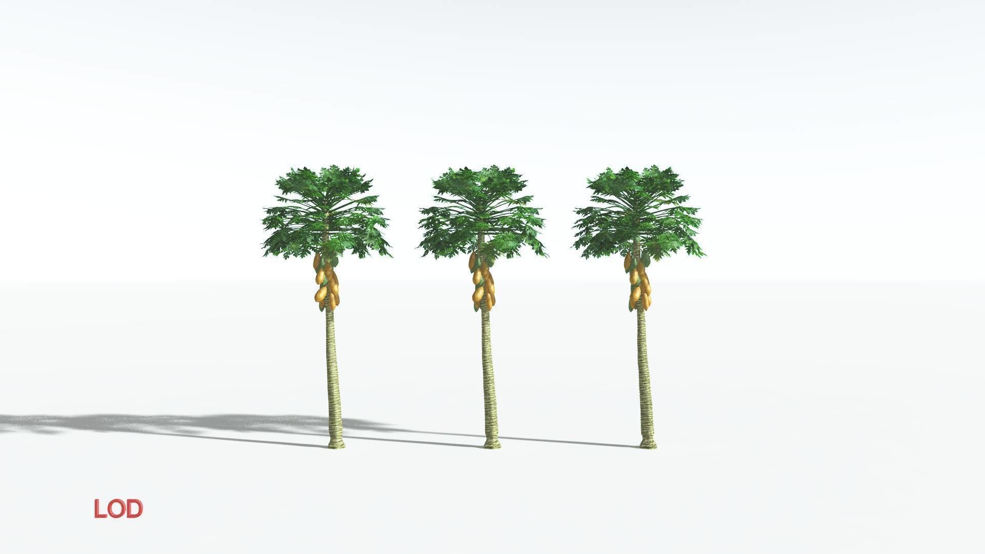 EVERYPlant Papaya 3 --14 Models-- 3D model_4